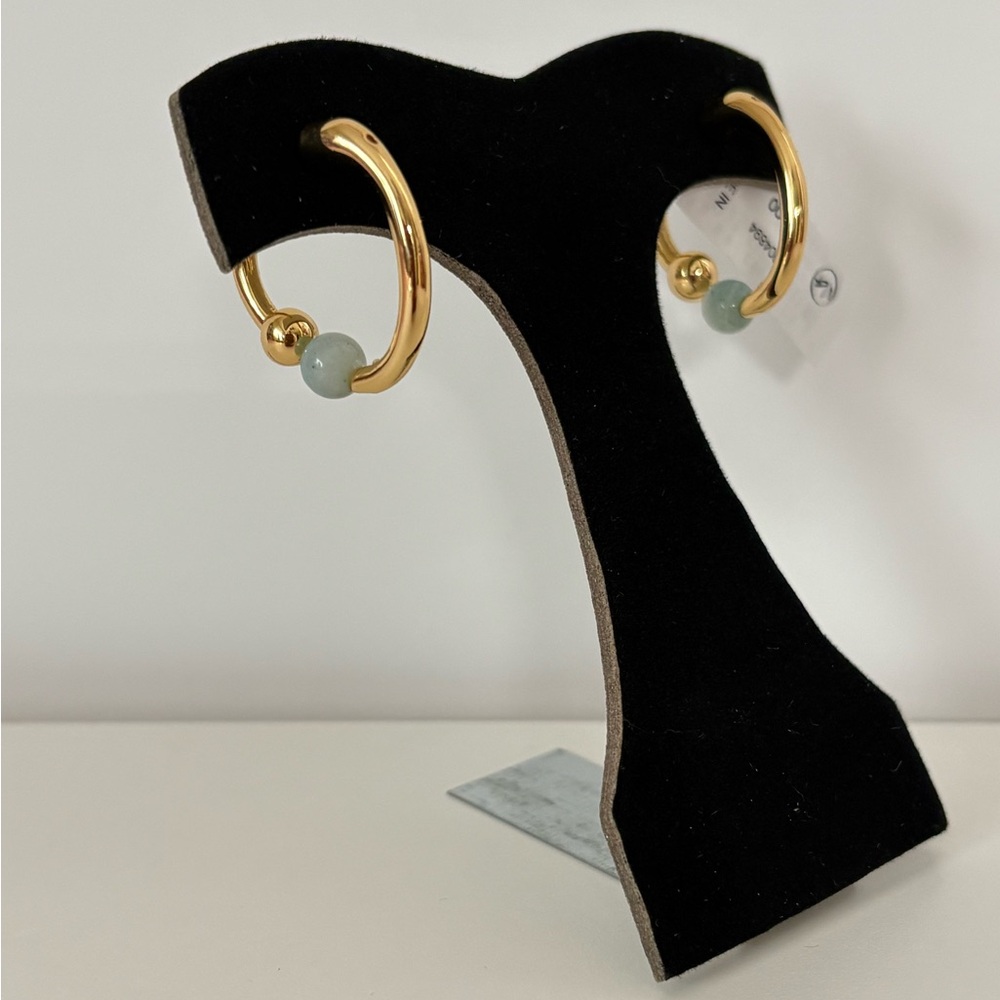 NWT Mignonne Gavigan Alexandra Hoops